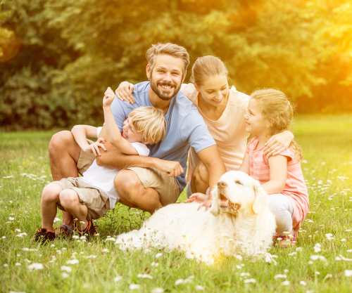 Familie mit zwei Kindern und Hund im Grünen